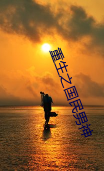 重(zhòng)生之国(guó)民男神