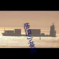 绝品小神医