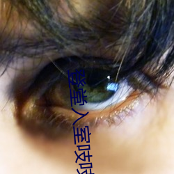 登堂入室吱吱