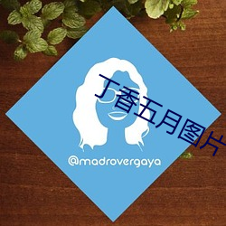 丁香五月圖片