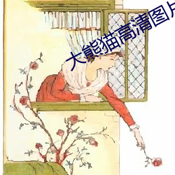 大熊猫高清图片
