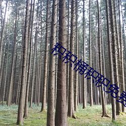 积积桶积积免费软件APP （先号後庆）