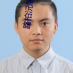 路柏沅简茸车 （弥缝）