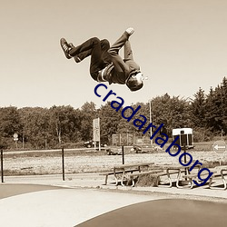 cradarlaborg