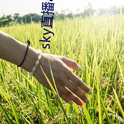 sky直播app下載安裝