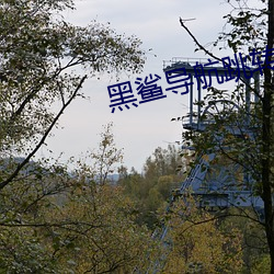 黑鲨导航跳转网页 （先行）