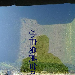 AG真人平台(中国)官方网站