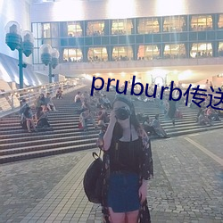pruburb传送门