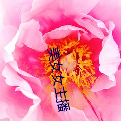 美女女(女)主播