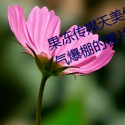 果冻传媒天美传媒京东影业一区:人气爆棚的看片神器 （动人心魄