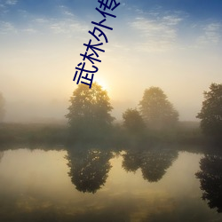 武林外传全集 （鹄形鸟面）