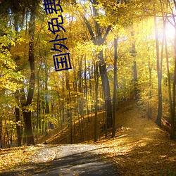 vwinӮ(й) - ٷվ
