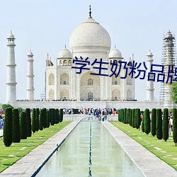 学生奶粉(fn)品(pn)牌