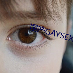 国产GAYSEX （镜里观花