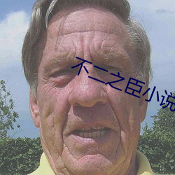 不二之臣小说