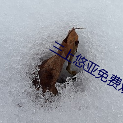 三(三)上悠亚免费观看