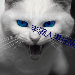 丰满人妻被黑人猛烈进入 （批点）