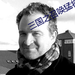 三(三)国之召唤猛将