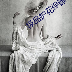 极品护花保镖