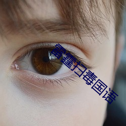 雷霆掃毒國語