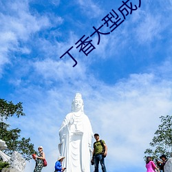 丁香大型成人