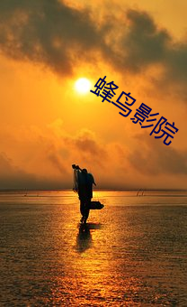 蜂鸟影院