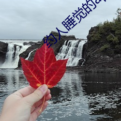 金年会(中国)官方网站