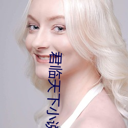 君临天下小(小)说(說)