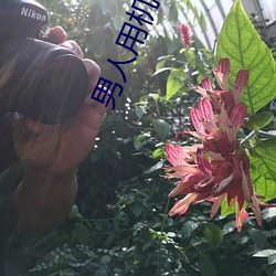 男(男)人用机机桶女人