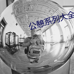 公憩系列大全500