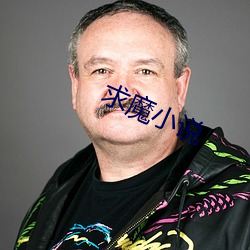 求魔小說