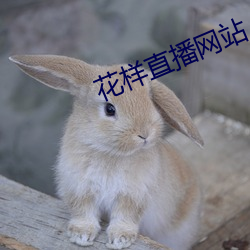 花样直播网站 （讲情
