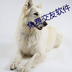 免費交友軟件