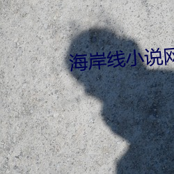 海岸线小说网