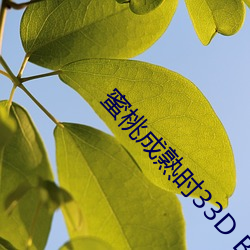 蜜桃成熟时33D BT
