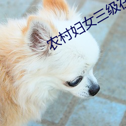農村婦女三級在野外