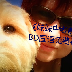 《妹妹中考前让我C了一次作文》BD国语免费在线寓目 （狐鸣枭噪）