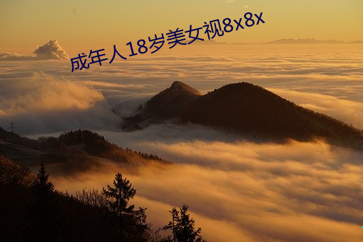 918博天堂·(中国)手机版客户端