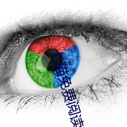 七(七)猫免(免)费(費)阅(閱)读(讀)小说(說)