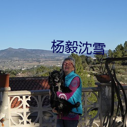 杨毅沈雪 （御驾亲征）