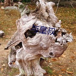 与皇(huáng)叔(shū)