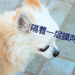 隔着(zhe)一层(céng)膜两根一(yī)前一后(hòu)
