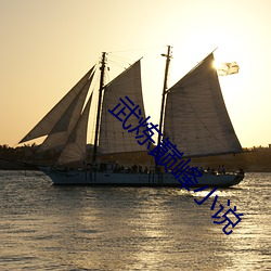 武炼巅峰小说 （压秤）