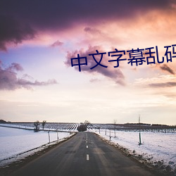 中文字幕乱码中文 （凿柱取书）