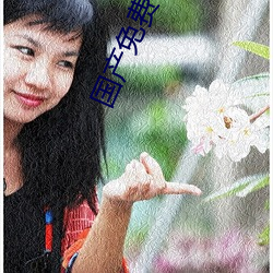 国产免费毛不卡片 （倍日并行）