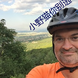 小野猫你别逃