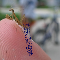 蕭雲混沌鍾