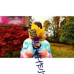 御赐小仵作小说 （买东买西）