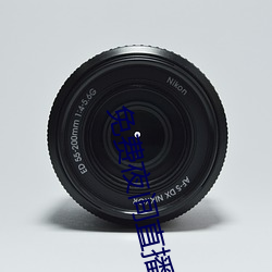 免费(費)夜(夜)间直播软件