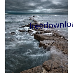freedownloadmanager